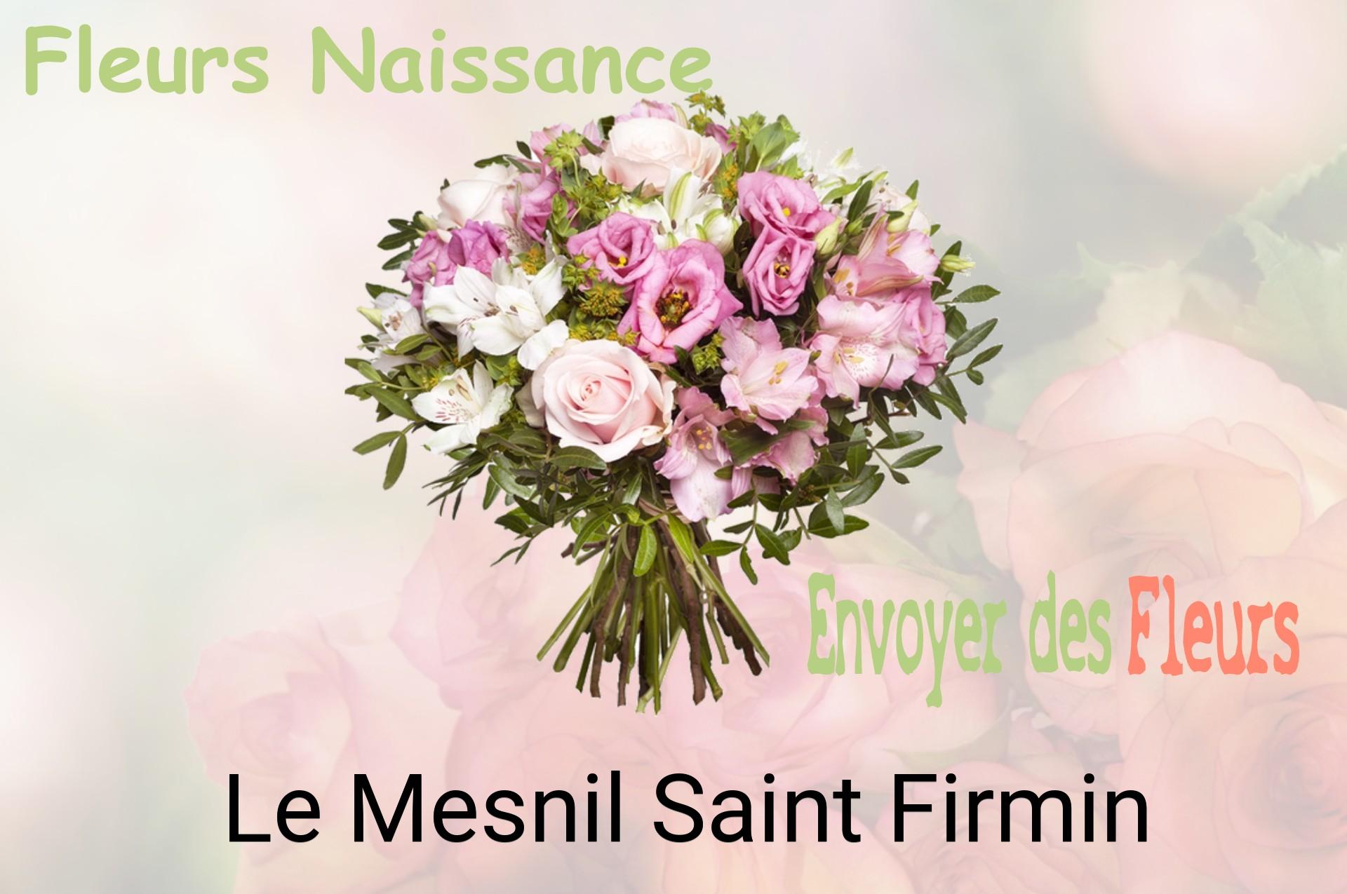 Bouquet de fleurs de naissance livré à Le Mesnil-Saint-Firmin